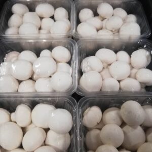 Szitás Máté csiperkegomba 1 kg
